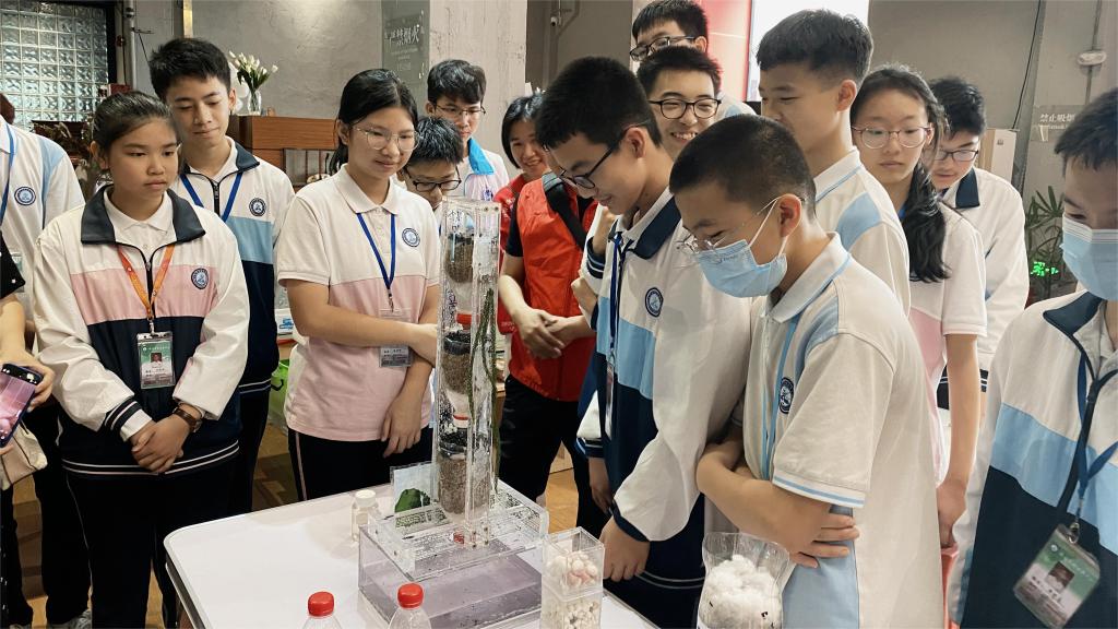 EFD6B57E71B9FD3EE42C3AFADF3_E71B7BCB_1AFA5 EFD6B57E71B9FD3EE42C3AFADF3_E71B7BCB_1AFA5