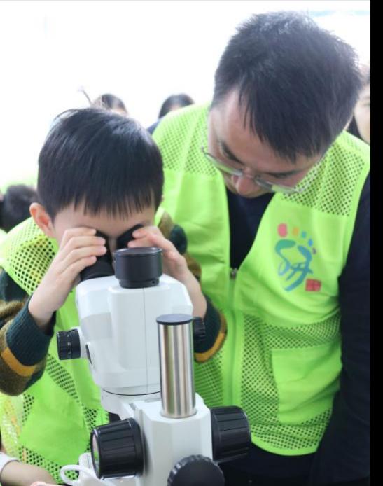 47FEBFB9A8075CB7048A5B01284_F66594B4_B18B 47FEBFB9A8075CB7048A5B01284_F66594B4_B18B