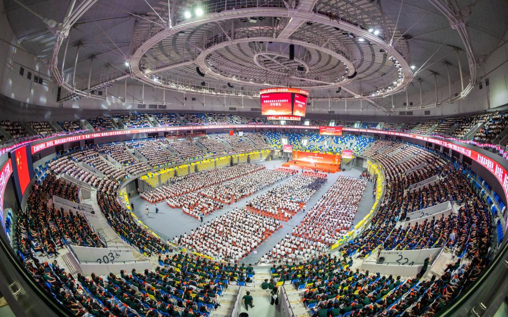 20194DCC7F8D11C0548EE56A77D_255DD968_3129A