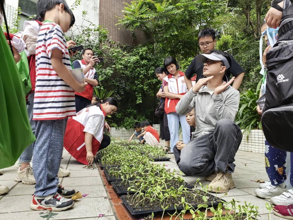 C7381A61ADC23D705E3E0A5E695_FD4D795E_320AE