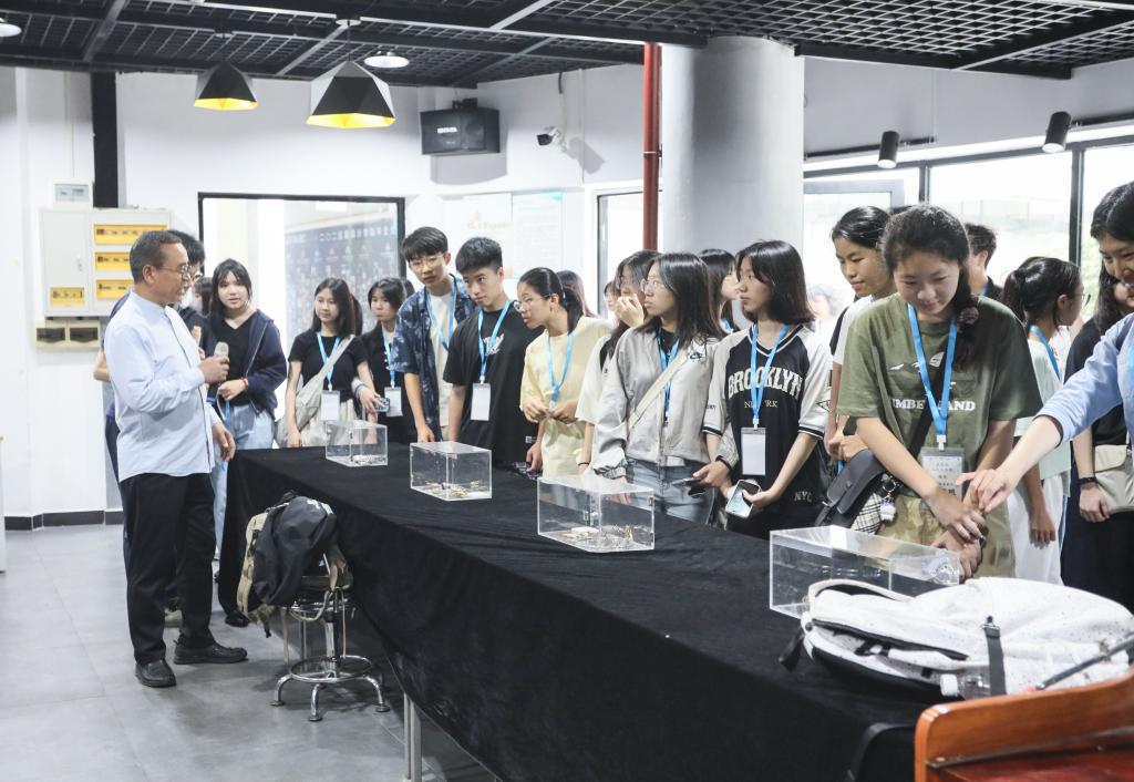 990401FF839FE82211579EC701D_D2B8DA7F_1B3D3