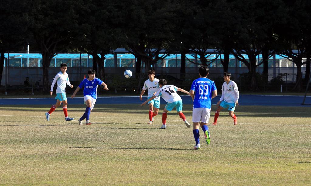 69C2D756C7E356A5FF4C8DD16A9_56335223_1C3F5