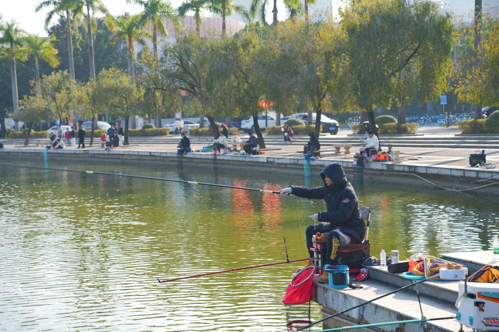 63D508543CF3112455DA8E2D83B_53340114_24F7C