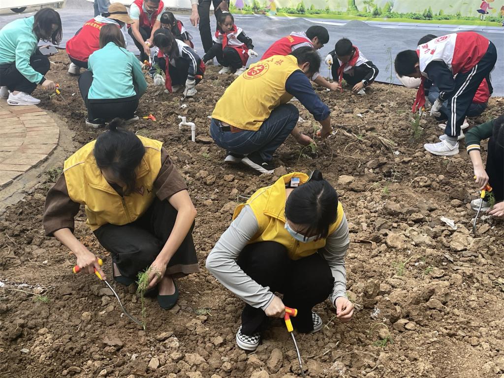 2EB490AA7C66049A4D8AFB34B14_3B1D5578_32672